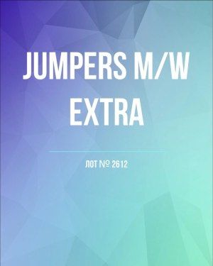 Джемпер муж+жен экстра - Секонд-хенд оптом